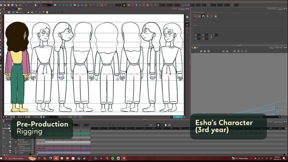 PRACTITIONER PROJECT